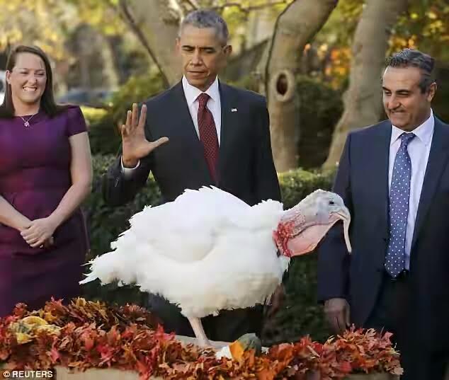 Obama girls join their dad for annual turkey pardoning ceremony, growing into beautiful women