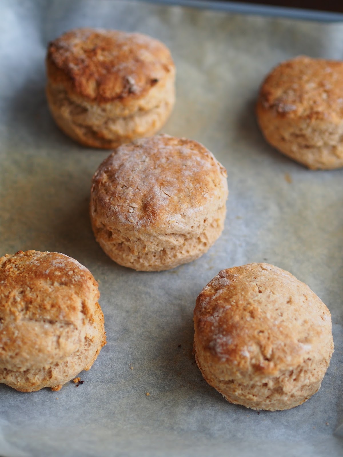 Da Washoku Kitchen My favorite whole wheat breakfast biscuits