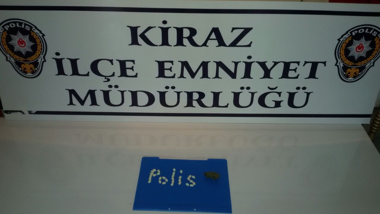 Kiraz Dünyası: Ağustos 2019 Kiraz Dünyası: Ağustos 2019