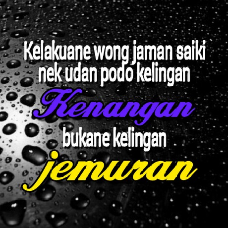 Download Video Status Wa Galau Mp4