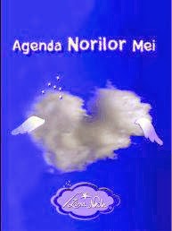 Agenda Norilor Mei