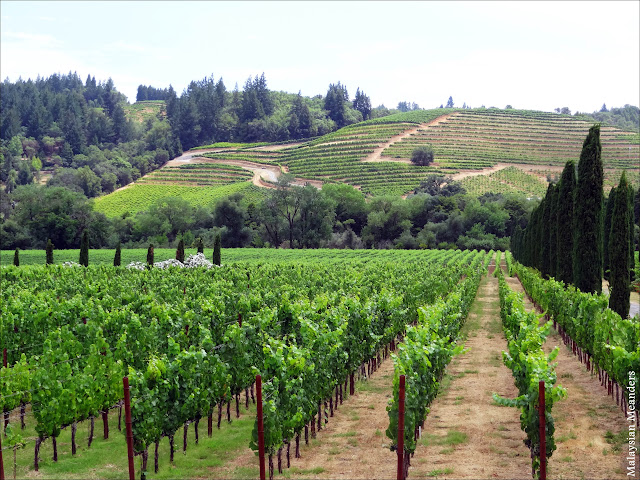 Dry Creek Valley, Sonoma