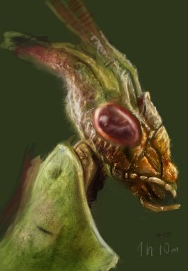 [Image: Mantis+head+study.jpg]