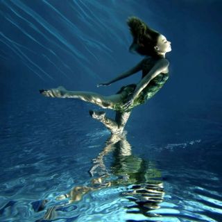 Под водой. Mark Mawson Mark Mawson