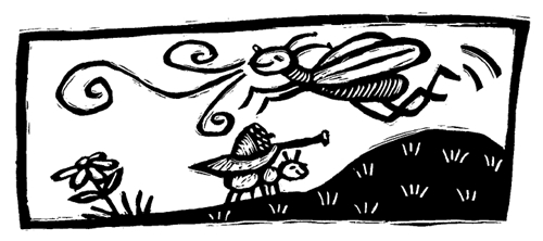 Cerita Fabel Bahasa Inggris Semut Dan Belalang Terjemahan Pintar Bahasa