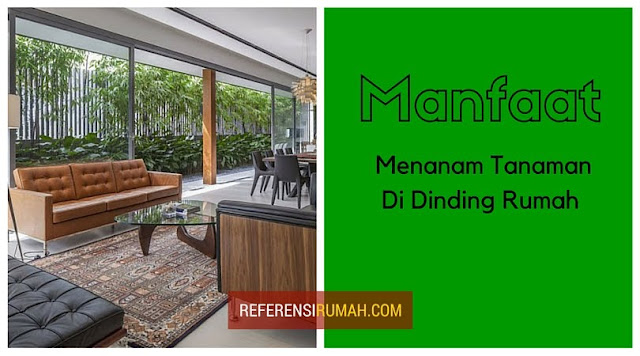 Segudang Manfaat Menanam Tanaman Di Dinding Rumah Segudang Manfaat Menanam Tanaman Di Dinding Rumah