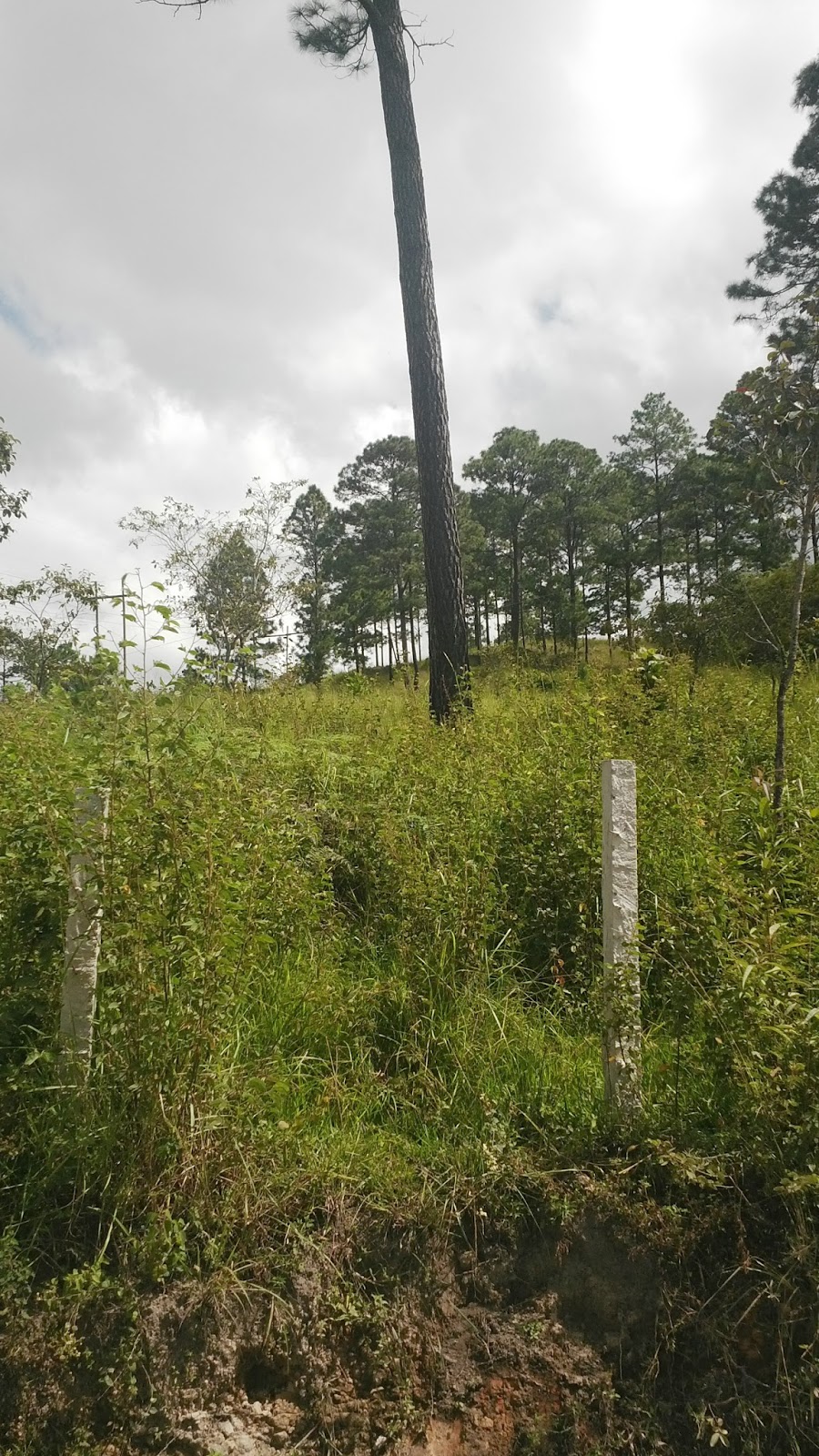 Venta de Casas en Honduras Venta de Hermoso Terreno de 2 Manzanas en