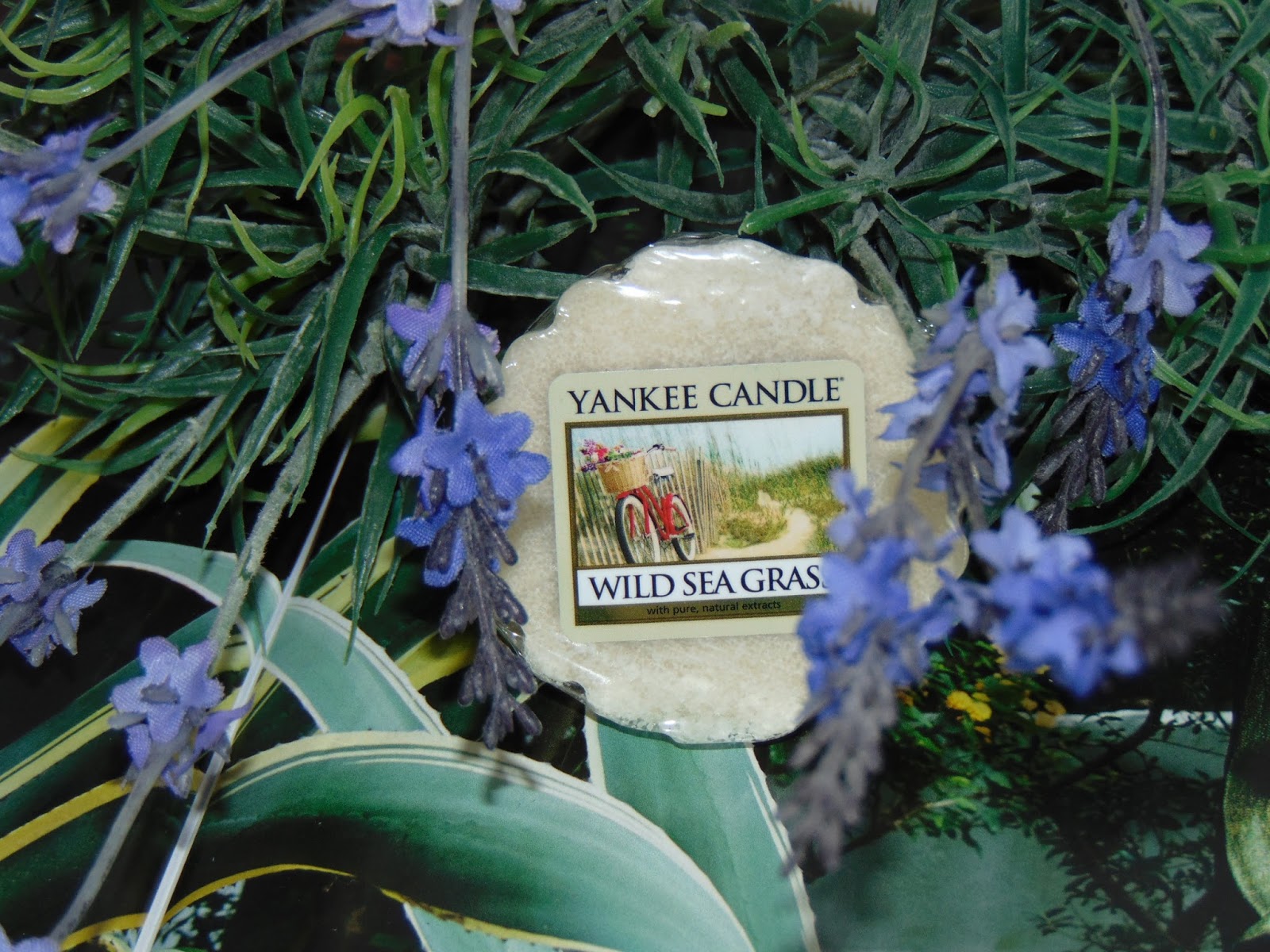 Yankee Candle, c.d. limitowanej kolekcji letniej, Wild Sea Grass