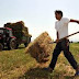 3,5 εκ. ευρώ για τους πρώτους νέους αγρότες της Ηπείρου