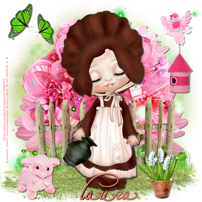 Entre el Mar y la Tierra: CT DE TINY TURTLE. PTU TAG DE TINY TURTLE CON ...