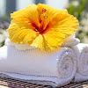 Benefits And Uses Of Hibiscus For Hair