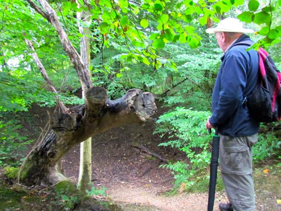 Michael Howgate at a sink hole or bomb crater Michael Howgate at a sink hole or bomb crater