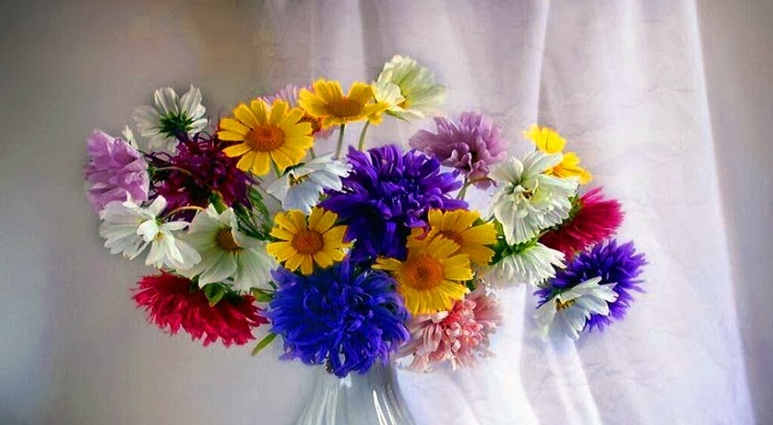 Beautiful Flowers Wallpapers For Facebook Beautiful Flowers Wallpapers For Facebook