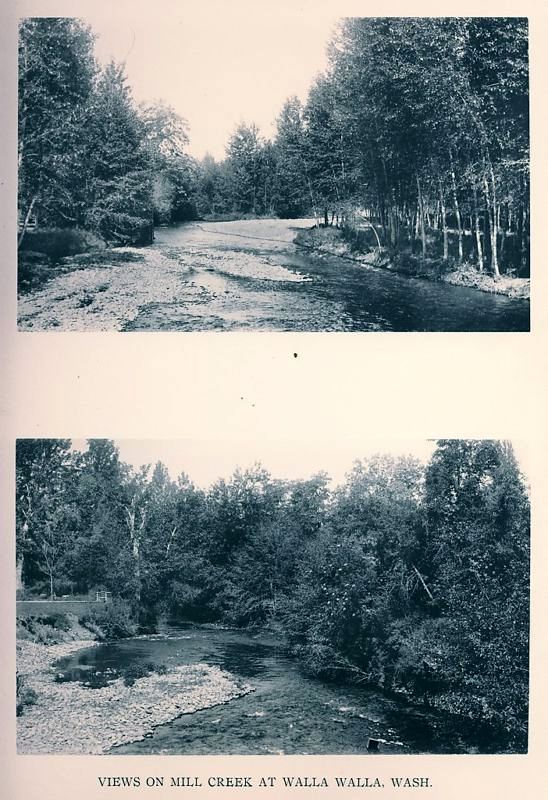 Bygone Walla Walla vintage images of the City and County (and beyond