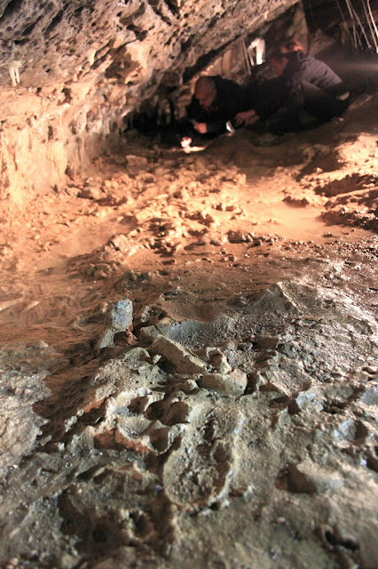Traces of crawling in Italian cave give clues to ancient humans' social behaviour