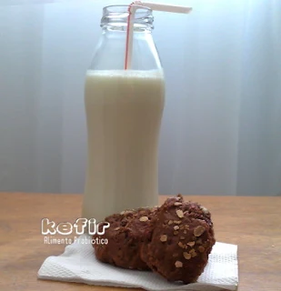 Kefir Alimento Probiótico