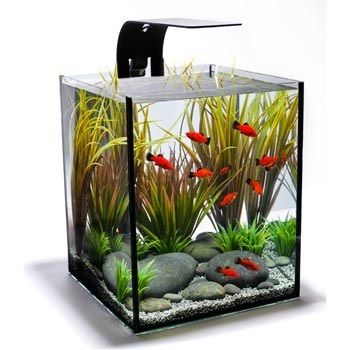 Model aquarium kecil