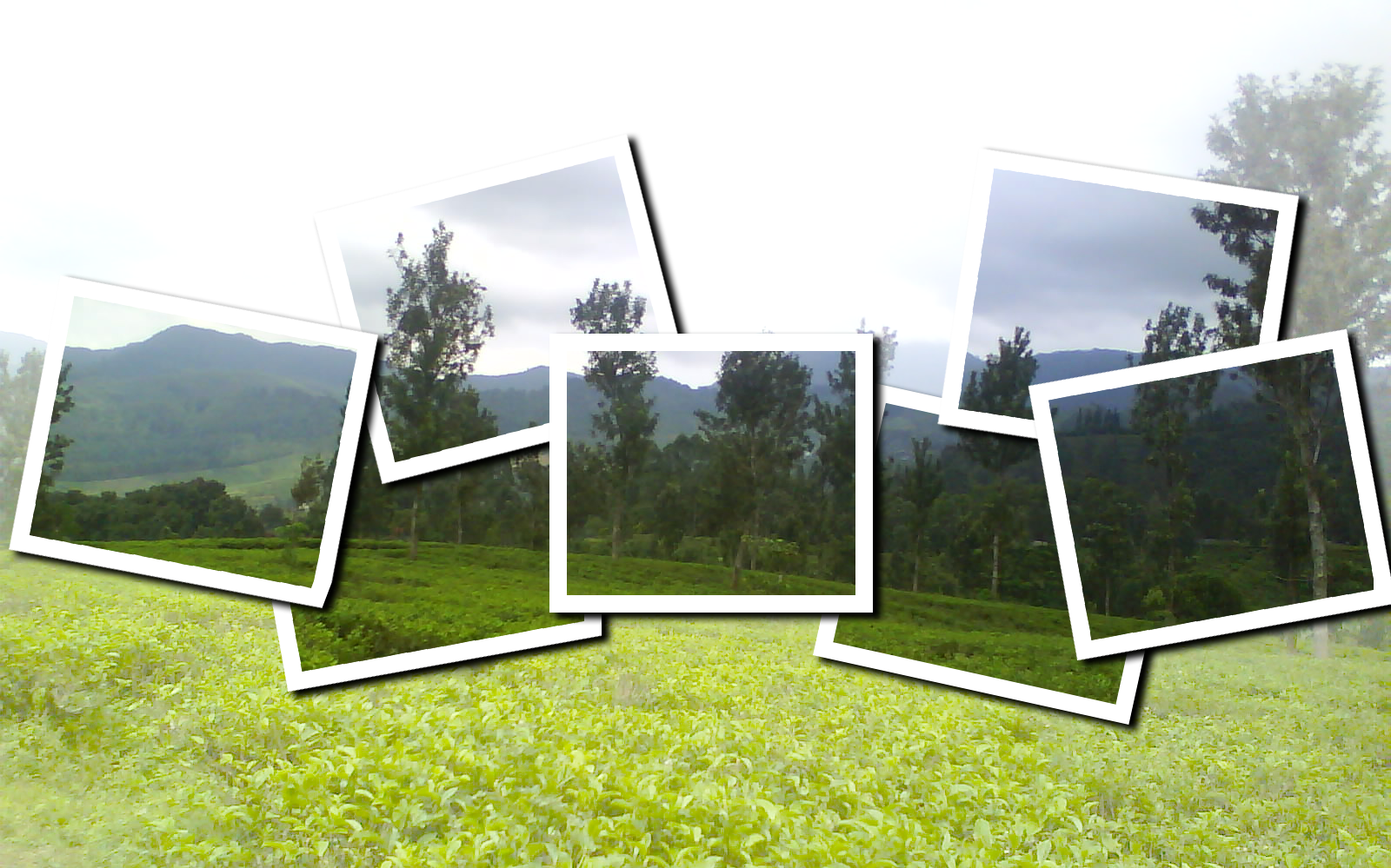 Photo frame psd — Clouds — Картинки и Рисунки