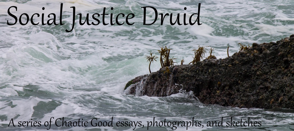 Social Justice Druid