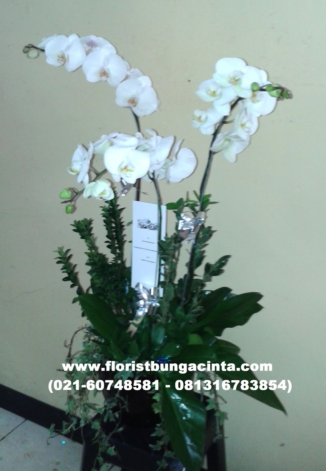Rusty Florist Jakarta - Online Flower Shop: Karangan Bunga Untuk Orang