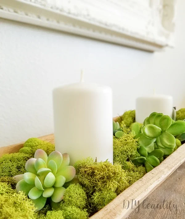 Spring decorating with succulents