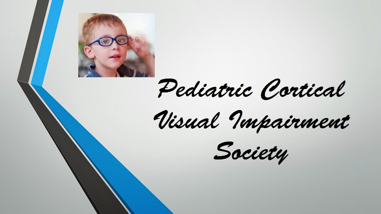 Pediatric Cortical Visual Impairment Society