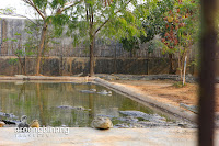 taman buaya tanjung pasir
