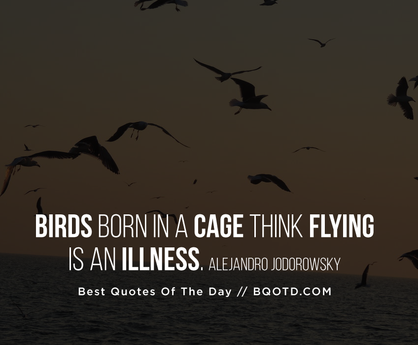 Birds born in a cage think flying is an illness.