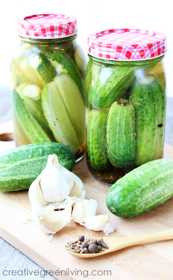 Easy Dill Pickle Recipe from Fresh Cucumbers Creative Green Living