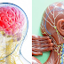 Be Warned! This Is What Will Happen In Your Brain If You Keep Sleeping With Pillows