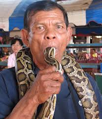 Di Desa Ular, Warga Berteman Sama Ular, Ular Jadi Teman Main Mereka