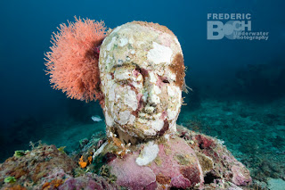 Buddha Face, Underwater Temple Garden