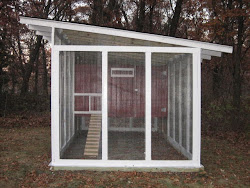 coops chicken homesteader minnesota run