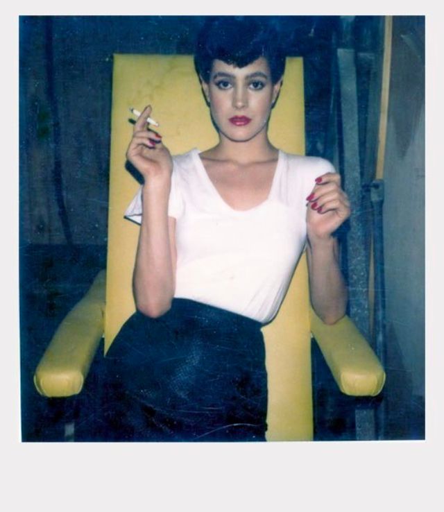 astonishing polaroids from the collection of polaroid classic photo album