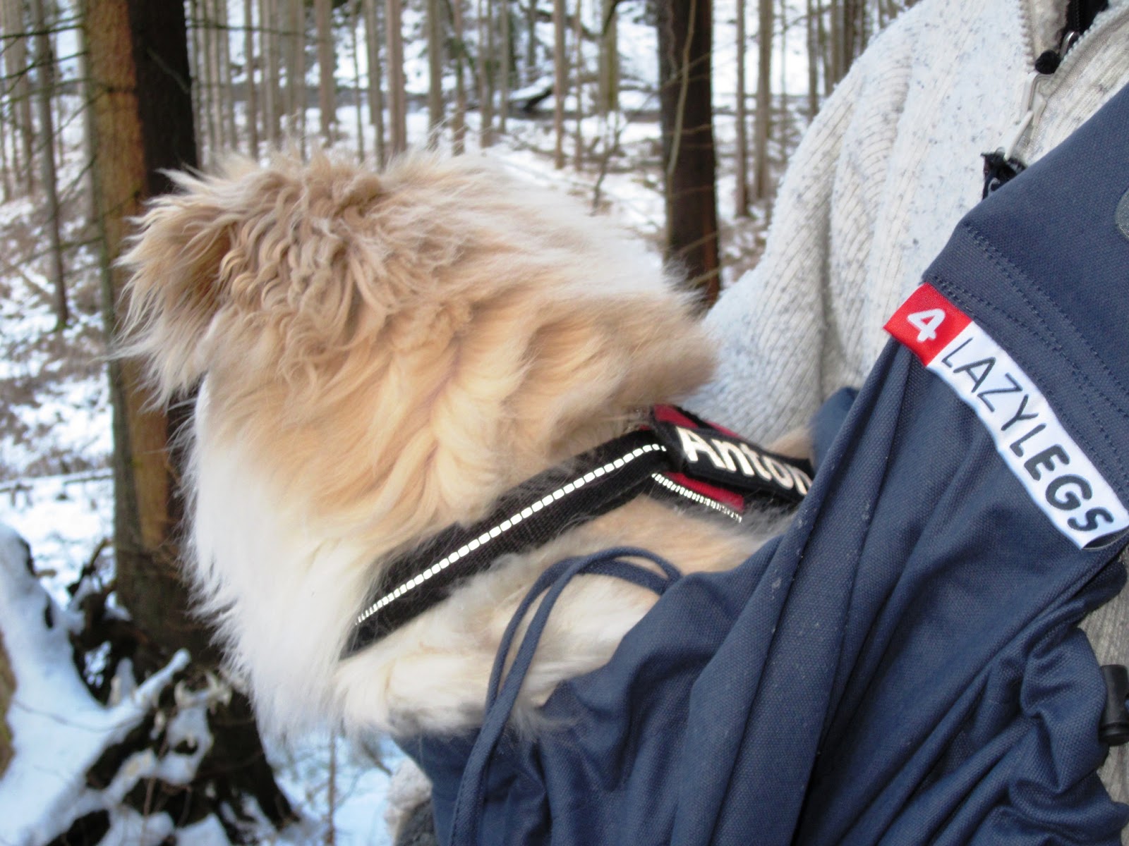 A Havi Dream Wandern mit 4 Lazylegs