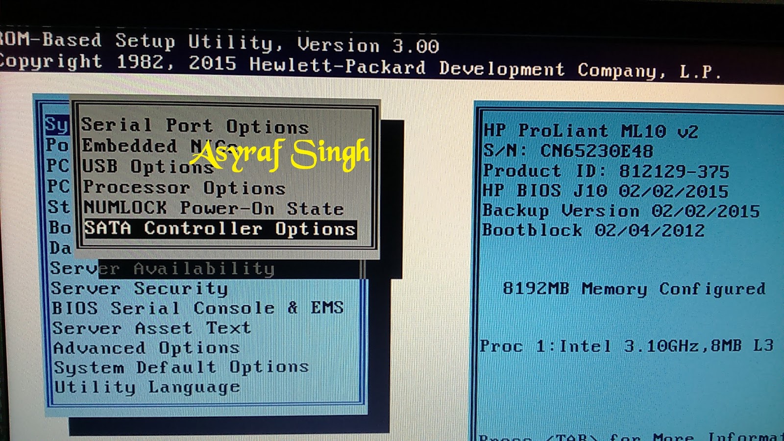 How to configuring Dynamic HP Smart Array B120i RAID support On HP