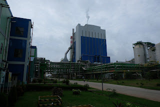 pabrik kertas terbesar di dunia