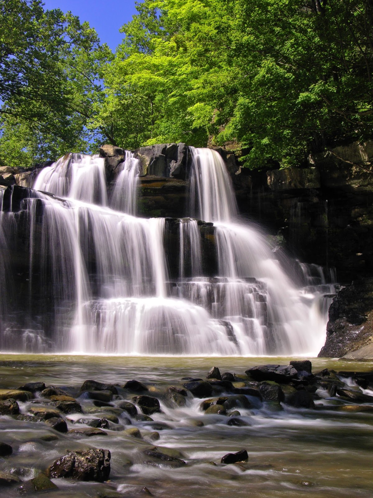 Discover West Virginia Brush Creek Falls Trail Short Hike to a Tall