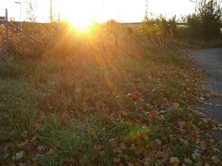 CIMG2561 - Födelsedagspromenad