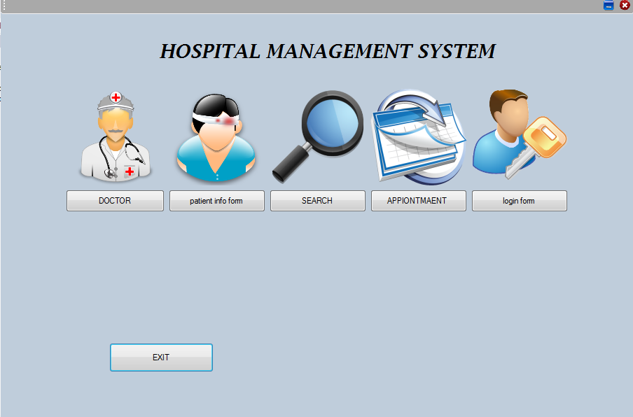 hospital management system project literature review