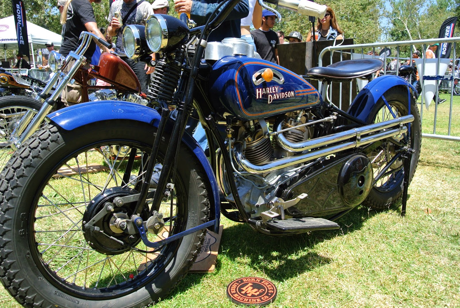 OldSTF Cycle Born Free Six Matt, Matt and Nick