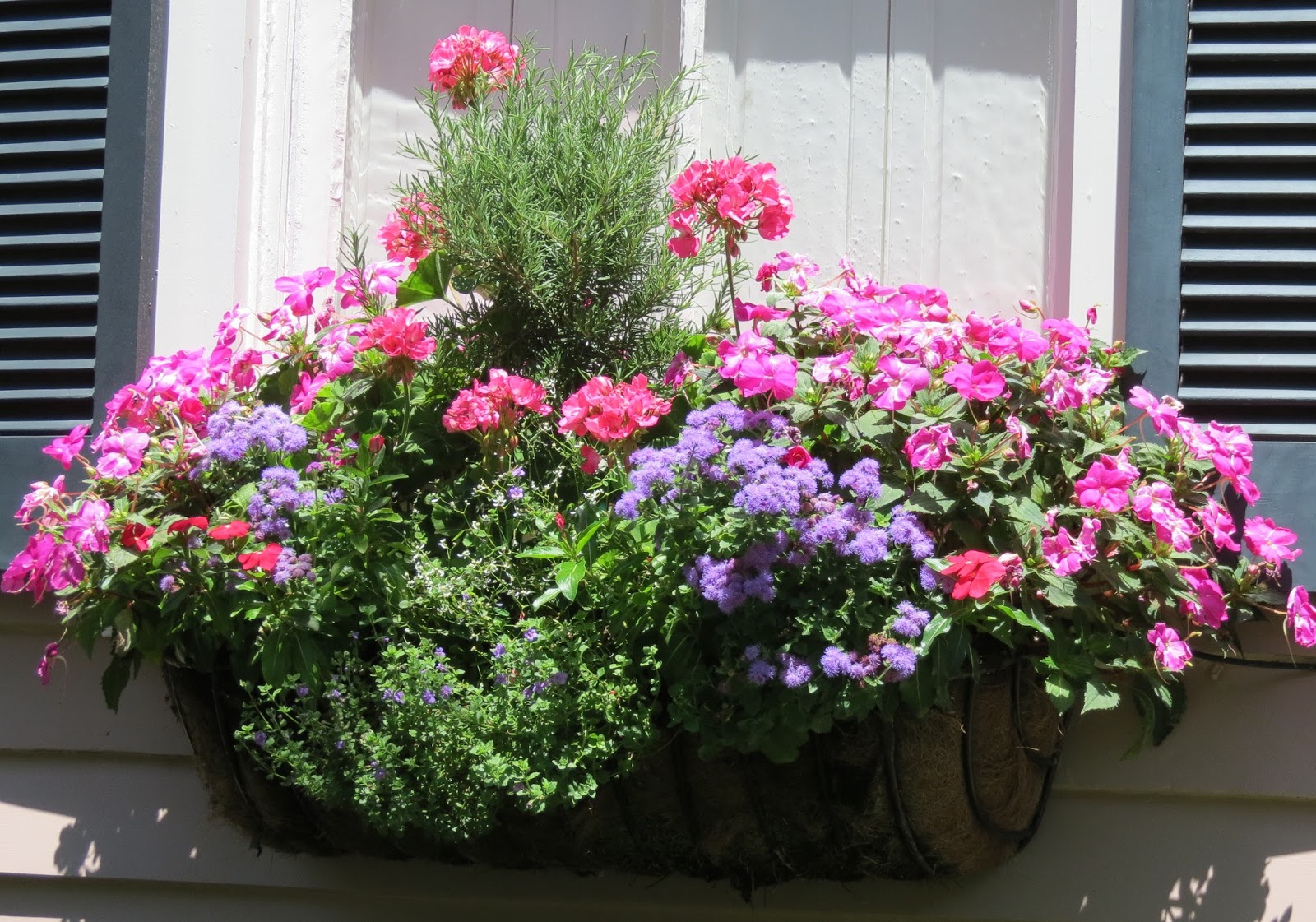 JLL DESIGN Window Box Ideas & More Garden Inspirations