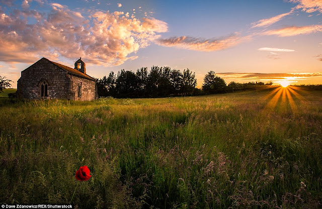 32EC5AE400000578-3528038-image-a-41_1460