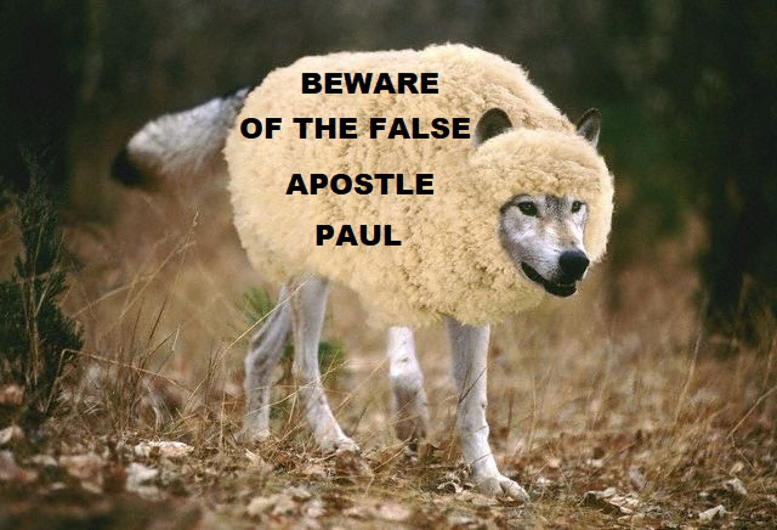 BEWARE OF THE FALSE APOSTLE PAUL