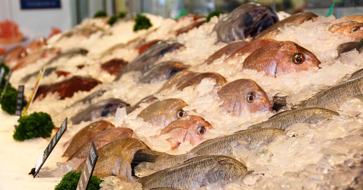 Farahkikan: Membeli Ikan Di Kuala Selangor