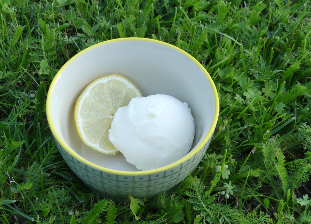 Barbaras Spielwiese: Cremiges Buttermilch-Zitronen-Eis