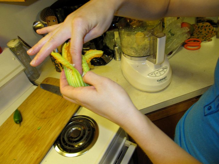 Curly Girl Farm Squash for Supper Again