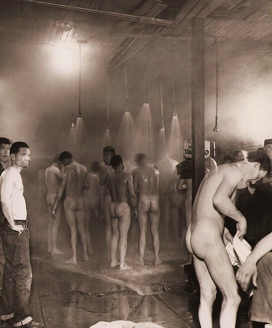 The Halcyon Days Of Gym Showers Literaturaparacie
