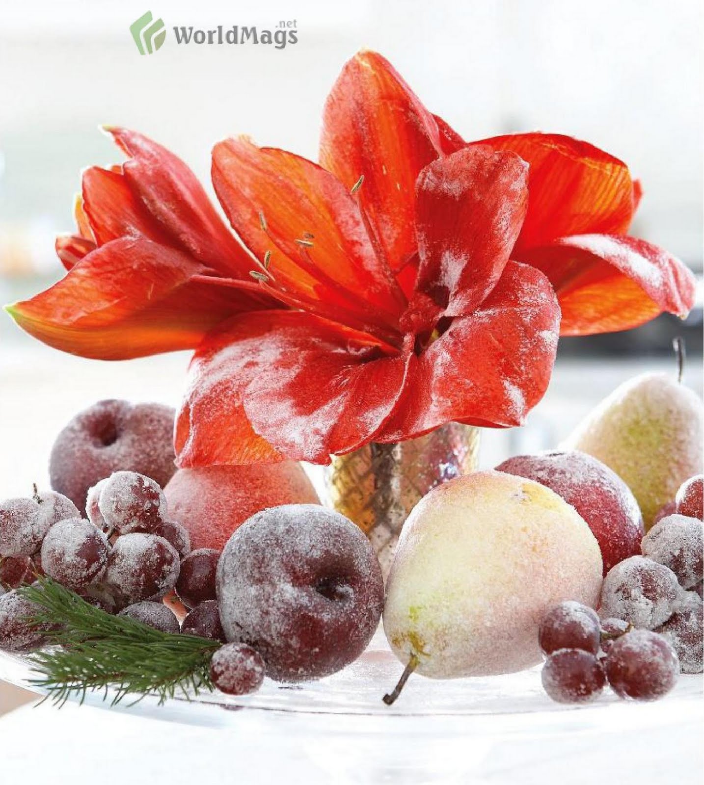"Frosted" Fruits Ideas for Decoration