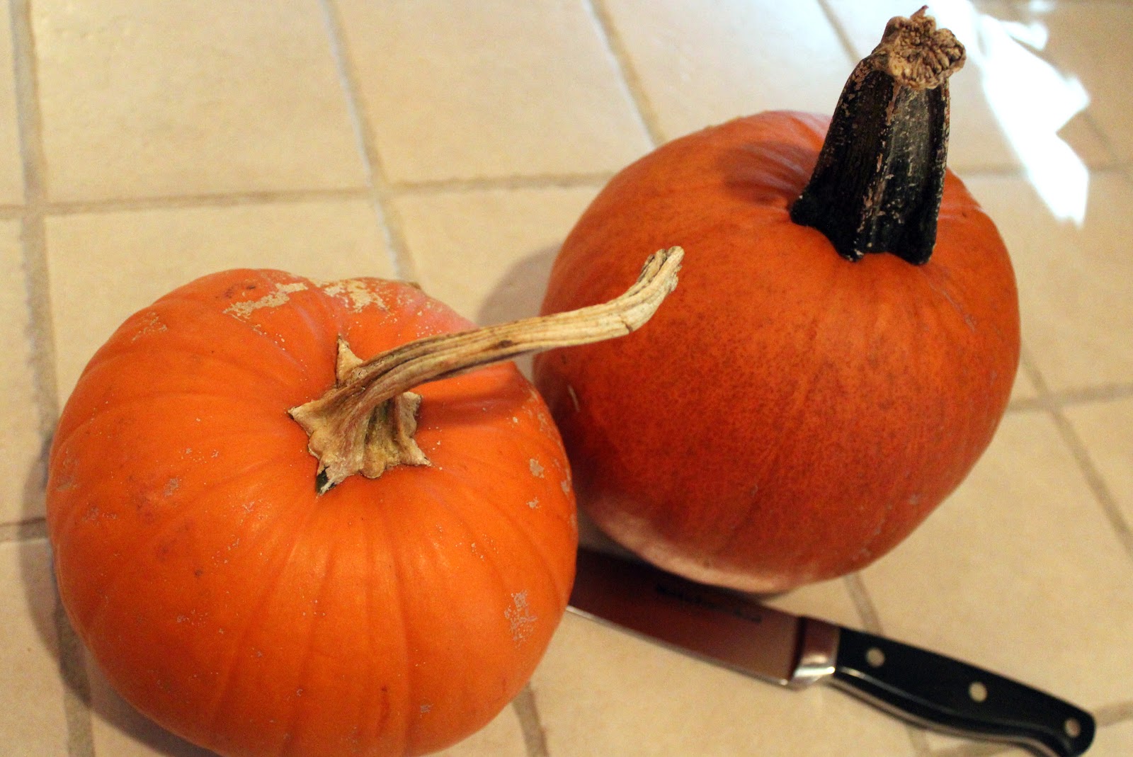 The Harris Sisters How to Make Roasted Pumpkin Puree